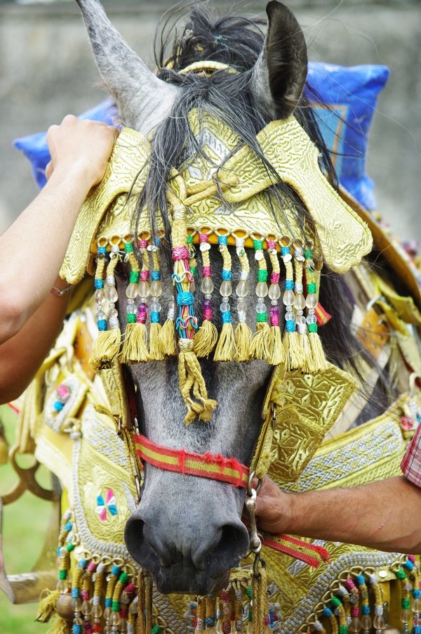 Le Moussem des Cultures 2008 050.jpg